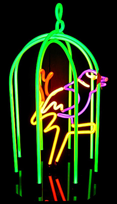 The Bird Cage