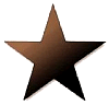 Star_0312MedBronze.jpg