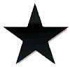 Star_2025Black.jpg