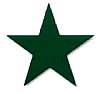 Star_2030Green.jpg